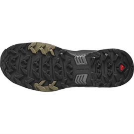 Salomon X Ultra 4 GTX Men, desert/black