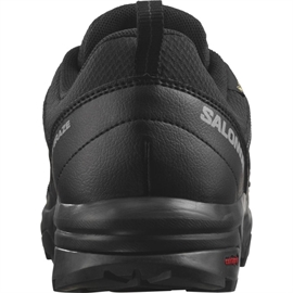 Salomon X Braze GTX Men, black