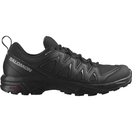 Salomon X Braze GTX Men, black