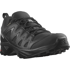 Salomon X Braze GTX Men, black