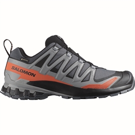 Salomon XA Pro 3D v9 Wide GTX Men, turbulence/blk/burnt ochre
