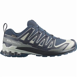 Salomon XA Pro 3D v9 GTX Men, spellb/mar blue