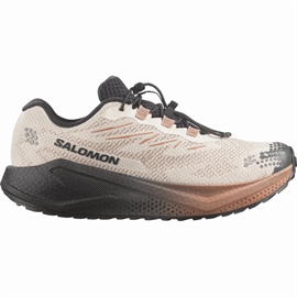 Salomon Aero Blaze 4 GRVL GTX Men, vanilla/black/burro