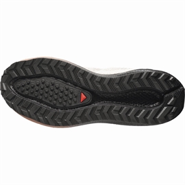 Salomon Aero Blaze 4 GRVL GTX Men, vanilla/black/burro