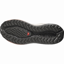 Salomon Aero Blaze 4 GRVL GTX Women, vanilla/black/burro