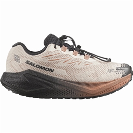 Salomon Aero Blaze 4 GRVL GTX Women, vanilla/black/burro