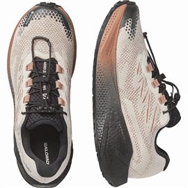Salomon Aero Blaze 4 GRVL GTX Women, vanilla/black/burro