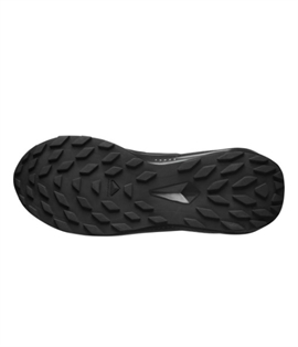 Salomon Alphaglide GTX Men, black