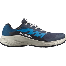 Salomon Alphaglide GTX Men, blue nights