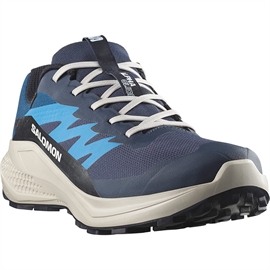 Salomon Alphaglide GTX Men, blue nights