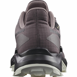 Salomon Alphacross 5 GTX Women, moonscape/blk/white