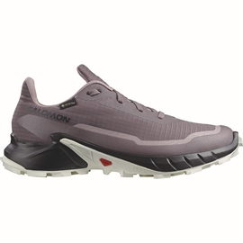 Salomon Alphacross 5 GTX Women, moonscape/blk/white