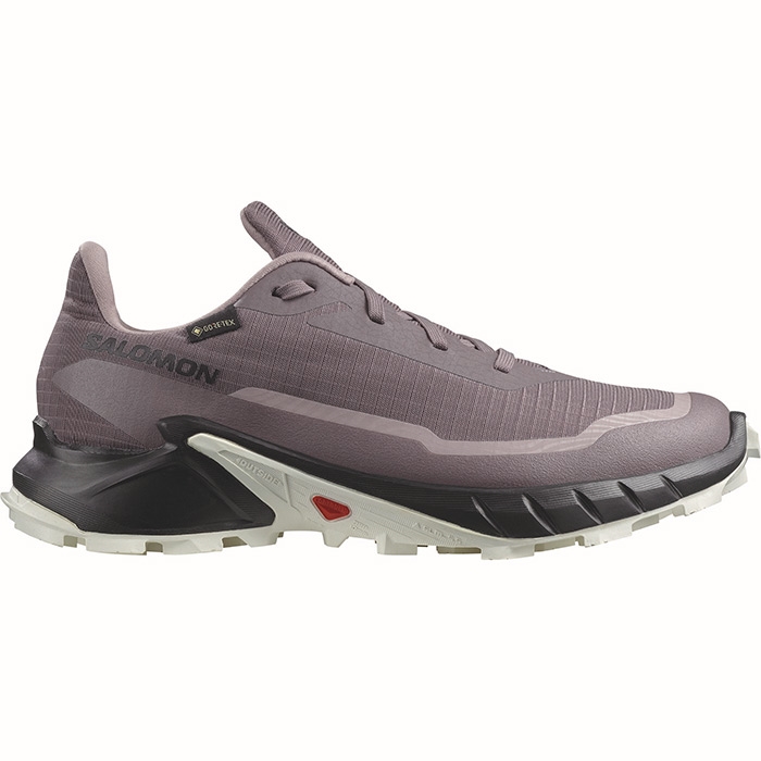 Salomon Alphacross 5 GTX Women, moonscape/blk/white