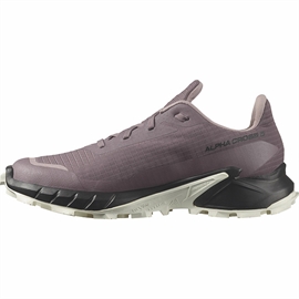 Salomon Alphacross 5 GTX Women, moonscape/blk/white