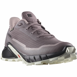 Salomon Alphacross 5 GTX Women, moonscape/blk/white