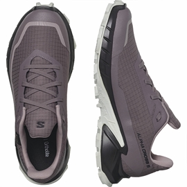 Salomon Alphacross 5 GTX Women, moonscape/blk/white