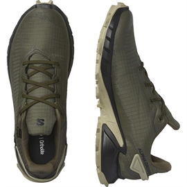 Salomon Alphacross 4 GTX Men, olive night-40 2/3 / UK 7