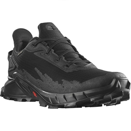 Salomon Alphacross 4 GTX Men, black