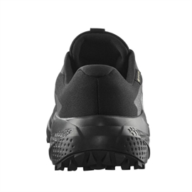 Salomon Alphaglide GTX Men, black