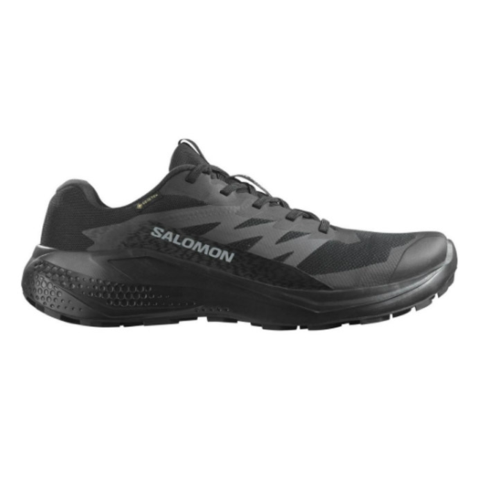 Salomon Alphaglide GTX Men, black