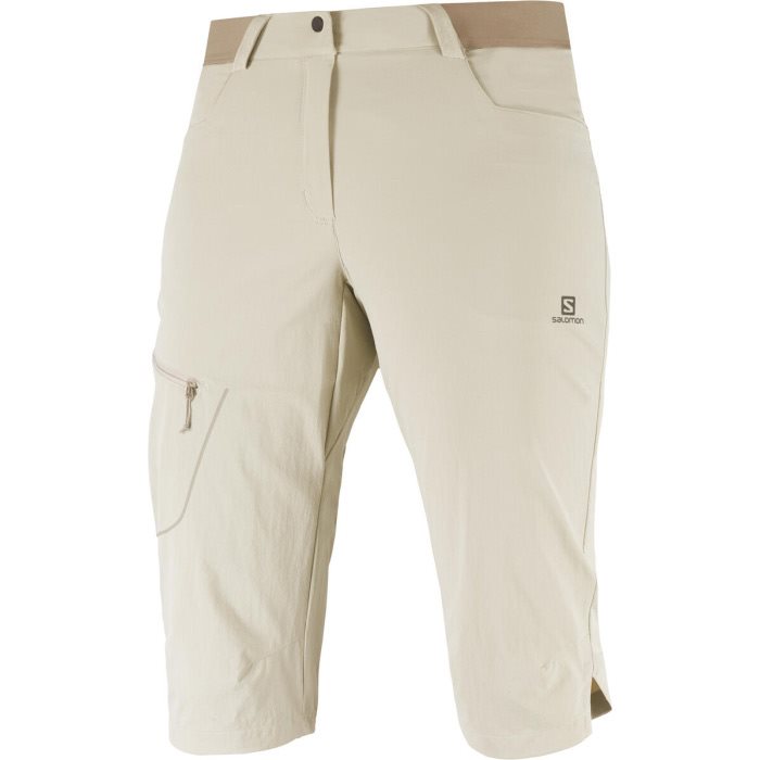 Salomon Wayfarer Capri Women, taupe-36 - Shorts