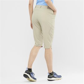 Salomon Wayfarer Capri Women, taupe