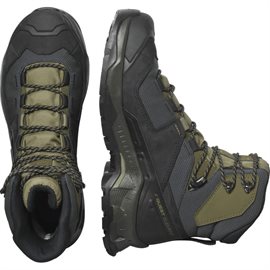 Salomon Quest Element GTX Men, black/deep liche