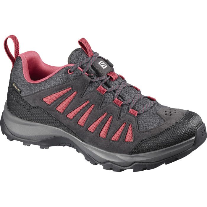 Salomon EOS GoreTex Women, phantom/garnet rose