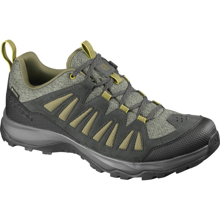 Salomon EOS GoreTex Men, beluga/ph./burnt olive