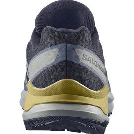 Salomon Examotion GTX Men, d.navy/dark s/willow