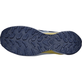 Salomon Examotion GTX Men, d.navy/dark s/willow