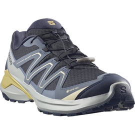 Salomon Examotion GTX Men, d.navy/dark s/willow