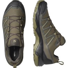 Salomon Exeo 2 GTX Men, olive night/black/aloe