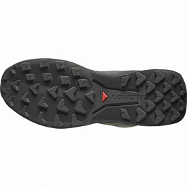 Salomon Genesis 2 GTX Men, grape leaf/blk/dlg