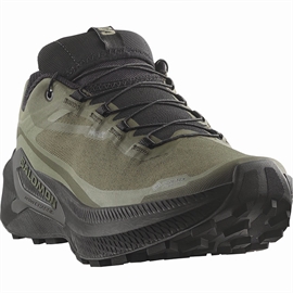 Salomon Genesis 2 GTX Men, grape leaf/blk/dlg