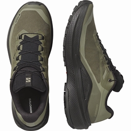 Salomon Genesis 2 GTX Men, grape leaf/blk/dlg