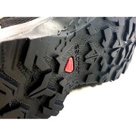 Salomon EOS GoreTex Women, phantom/garnet rose