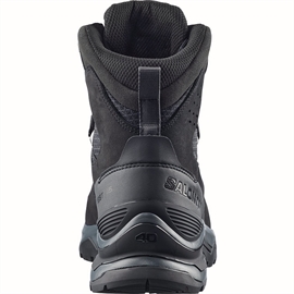 Salomon Quest 5 GTX Men, asphalt/black