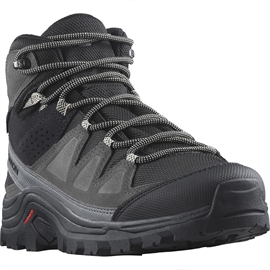 Salomon Quest Rove GTX Women, black/magnet/qs