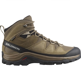 Salomon Quest Rove GTX, kangaroo/kelp/black
