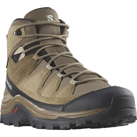 Salomon Quest Rove GTX, kangaroo/kelp/black