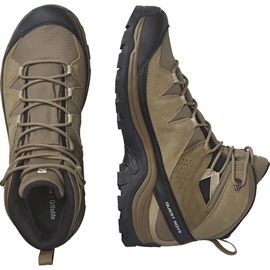 Salomon Quest Rove GTX, kangaroo/kelp/black