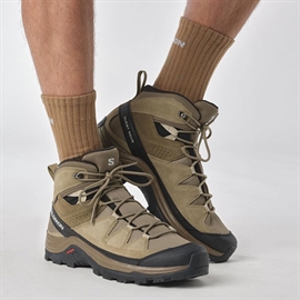 Salomon Quest Rove GTX, kangaroo/kelp/black