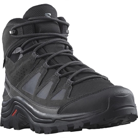 Salomon Quest Rove GTX, black/phantom/magnet