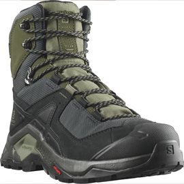 Salomon Quest Element GTX Men, black/deep liche