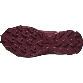 Salomon Supercross 4 GTX Women, tawnyp/deauvi/chert