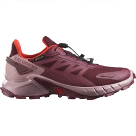 Salomon Supercross 4 GTX Women, tawnyp/deauvi/chert