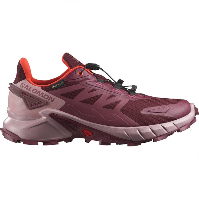Salomon Supercross 4 GTX Women, tawnyp/deauvi/chert