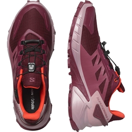 Salomon Supercross 4 GTX Women, tawnyp/deauvi/chert