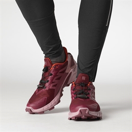 Salomon Supercross 4 GTX Women, tawnyp/deauvi/chert